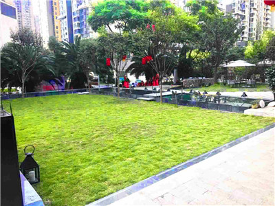 成都草坪婚禮場地 成都草坪婚禮場地