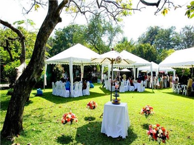 成都結(jié)婚場(chǎng)地 成都結(jié)婚場(chǎng)地