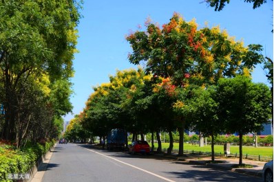成都適合辦寶寶宴的酒店 成都適合辦寶寶宴的酒店