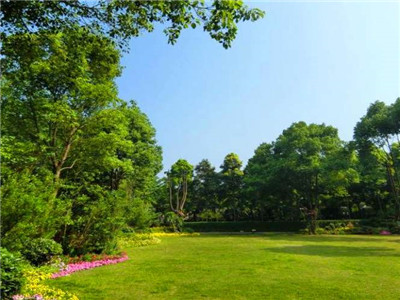 成都年會 成都年會