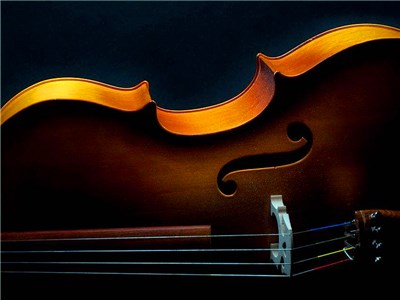 成都婚禮酒店 成都婚禮酒店