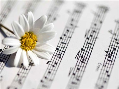 成都婚禮酒店 成都婚禮酒店