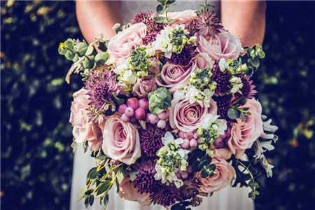 成都婚宴網(wǎng) 成都婚宴網(wǎng)