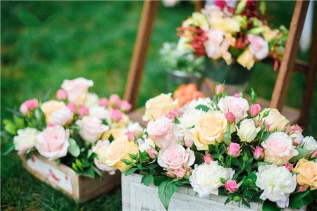 成都婚宴 成都婚宴