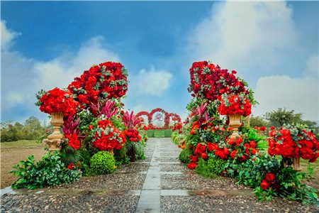 婚宴酒店網(wǎng) 婚宴酒店網(wǎng)