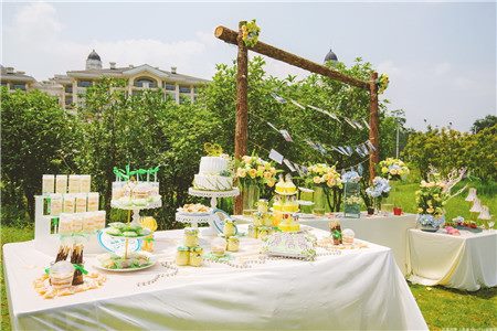 成都辦草坪婚禮的場地 成都辦草坪婚禮的場地