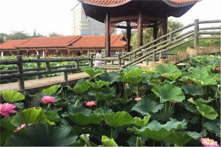 成都南門戶外婚禮酒店 成都南門戶外婚禮酒店