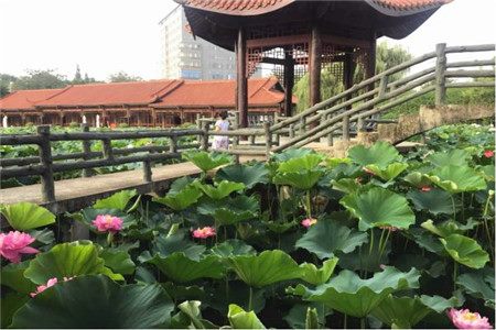 成都特色婚禮場地 成都特色婚禮場地