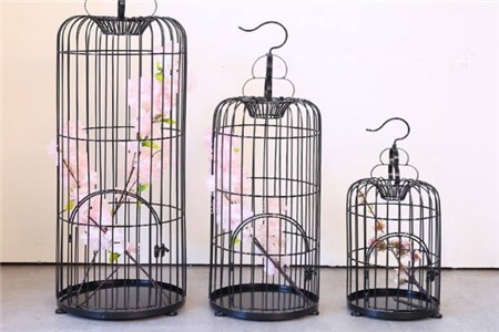 婚慶路引 婚慶路引