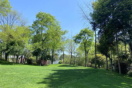 未標(biāo)題-1-恢復(fù)的.png 未標(biāo)題-1-恢復(fù)的.png